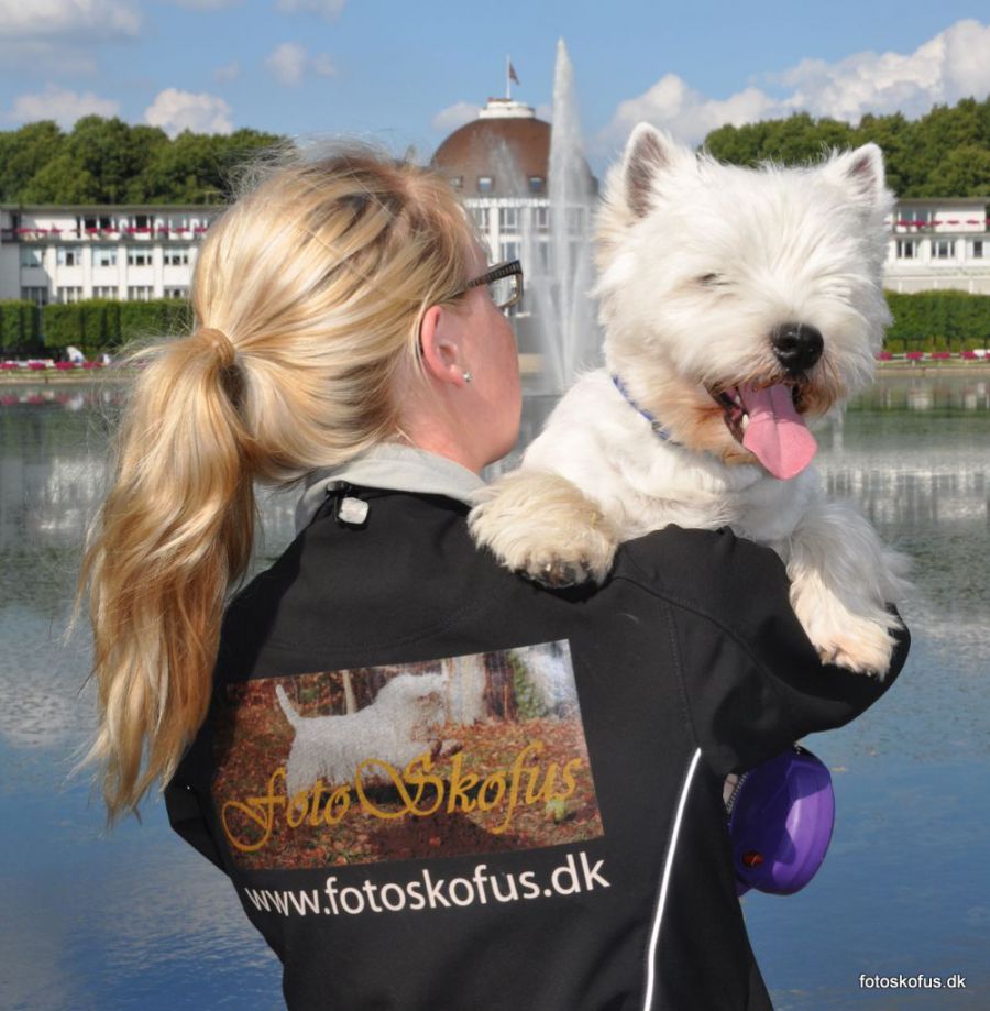 hunde, beagle, westie, aussie, kennel symposions, karin, toke, bertha, mathilde zederkof, toke larsen, kaj lorensen, australsk terrier, west highland white terrier, hvalpe, puppy, puppys, fribikeshop vejle, vejle, munkebjerg, munkebjerg skoven, vinter, nytårskur, gruppebillede, gruppe, fotoskofus, kennel ehlert, hundekennel vejle, 